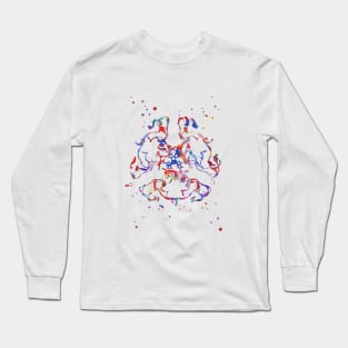 Insulin structure Long Sleeve T-Shirt